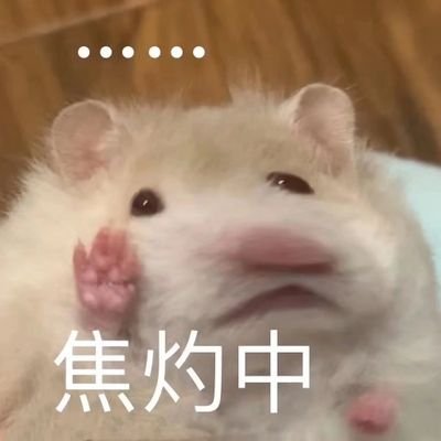 kukaさんのプロフィール画像