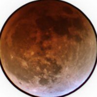 Parker (@luxconsilio) 's Twitter Profile