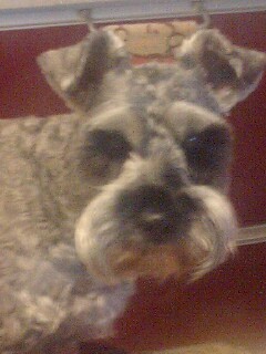 mhdpd_j's profile picture. 