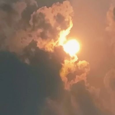 sumuyu20's profile picture. 