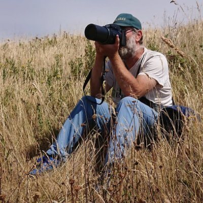 Wildlife photos at (mostly Somerset but in Yorkshire regularly & visit elsewhere - shouldn't need to log in to view them): https://t.co/AlOBbZL2vE