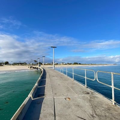 Dioniso_Pinot's profile picture. Colocolino, padre orgulloso, Viticultor, OUA. Hincha anti Garra Pata