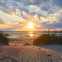 OBX Sentinel (@obxamerican) 's Twitter Profile Photo OBX Sentinel (@obxamerican) 's Twitter Profile Photo