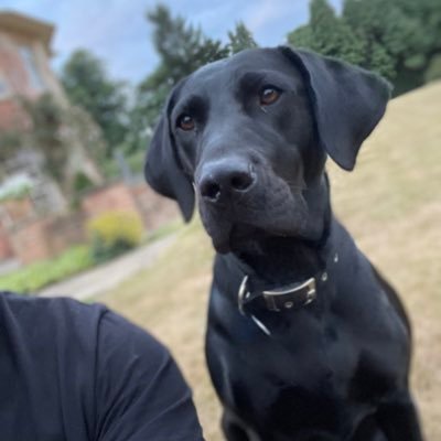 ChrisGilderr's profile picture. 29 - life isnt about waiting for the storm to pass, its about learning to dance in the rain ☔️✌🏼