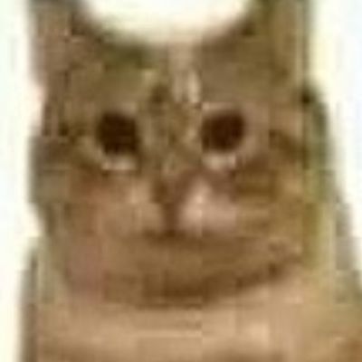 sctrfv's profile picture. 