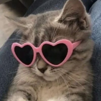 krrrg1rl's profile picture. I play roblox lul