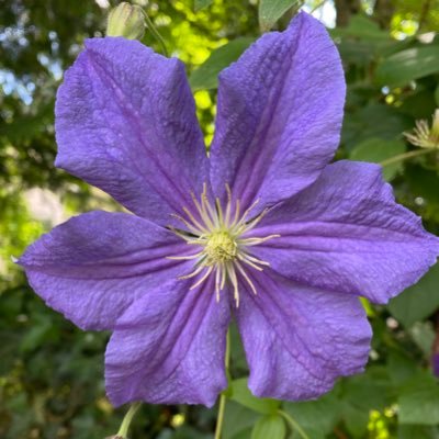 TinaM1992's profile picture. CYC worker, ECE w/ Infant and Toddler specialization, Latina, visitor to Lekwungen nation