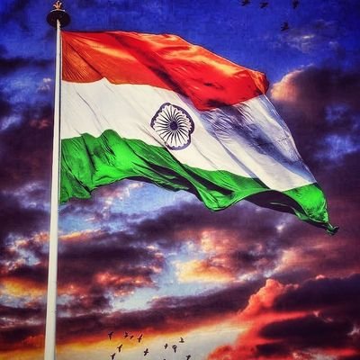 Self-starter|Social activist | independent Thinker |Nationalist🇮🇳