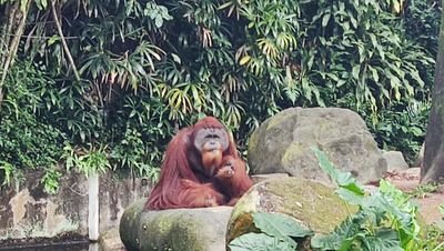 gregocean2's profile picture. Calm down and into the Zone