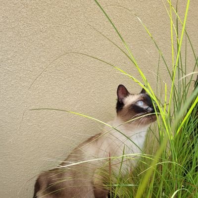 pcjk40's profile picture. 