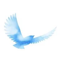 🍀🪽 (@_polkadot___) Twitter profile photo