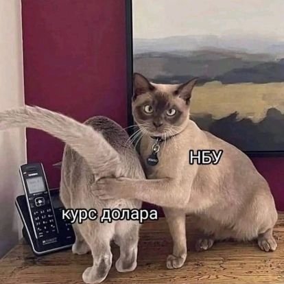 Nikk_v_v's profile picture. 