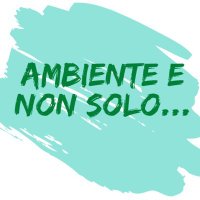 Ambientenonsolo(@ambientenonsolo) 's Twitter Profileg