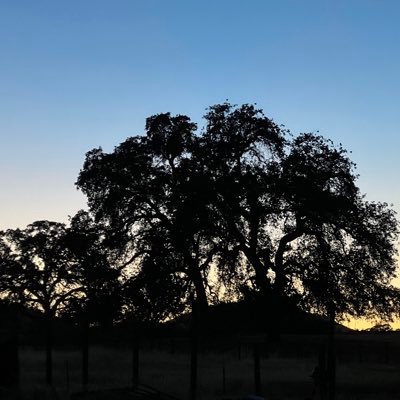 erichatch8822's profile picture. Gaming Games Games TV Shows Music Movies