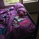 amanda Fogle - @amandaFogle9 - Twitter