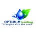 Optimum Seedlings (@seedlings_o) Twitter profile photo