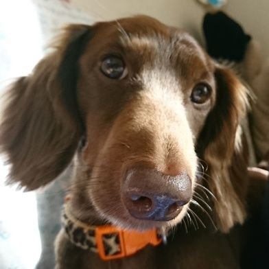 trackdriver4937's profile picture. 九州で地場(中型ドライバン)で走ってます。
元、中距離(大型ドライバン)は降りました(´・ω・｀)
車が好き、バイクも好き
でも休日は運転したくない勢