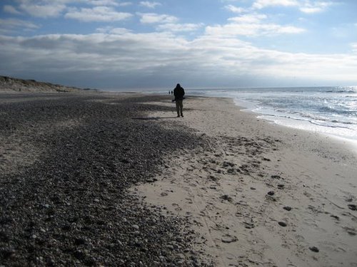 stefbib's profile picture. @stefbib@openbiblio.social