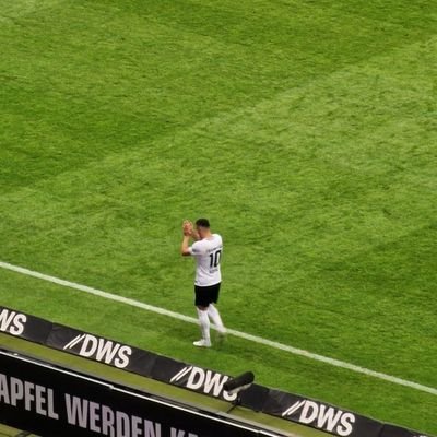 Fan und Mitglied der @Eintracht aus Frankfurt 🦅