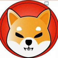 Dogefamily(@Dogefamily61) 's Twitter Profile Photo