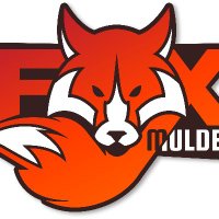 Fox Mulder (@foxmuldertgf) 's Twitter Profile