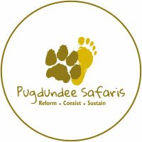 Pugdundee Safaris(@PugdundeeSafari) 's Twitter Profile Photo