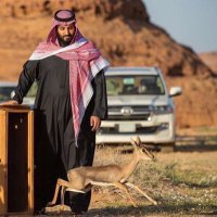 الشآمخ🎶💙 (@m_oovl) 's Twitter Profile