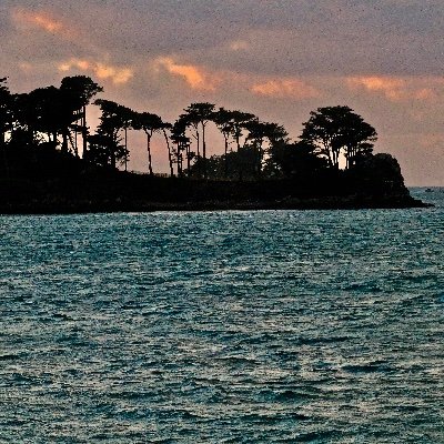 uvchle's profile picture. 