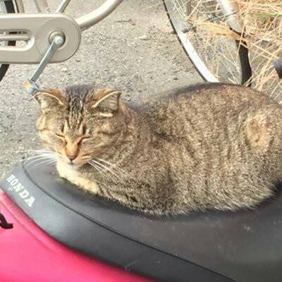 kade_yk's profile picture. 石垣島でビートオタクやってます！POPO
中年Aなりそうこわい