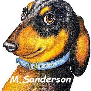 Author, Illustrator & Publisher. Images copyrighted © M.S. Sanderson 2008. Art thieves beware! The dachshund hides the terrier inside. https://t.co/9Z8RYPa1HF