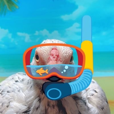 鳥とかあとなんか色々
オカメインコ、マメルリハ、小軍鶏、ヒメウズラ、ミドリガメ
生まれも育ちも一応青森なのに津軽弁ネイティブじゃない半端者
推しはSHAUN
我愛台湾! I Love WinnieThePooh !