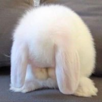 หมอตุ่ยอิสคัมมิ่ง🐰🩺 (@_neodymiumx) 's Twitter Profile