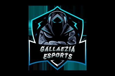 CEO del Club Gallaezia eSports. Seguimos nuestro proyecto a la mano del mejor equipo. #GallaeziaeSports #LOL #CSGO #Valorant #R6 y muchos más.