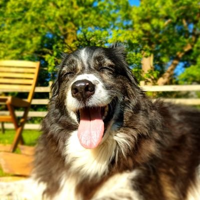 GaryJWalker's profile picture. 