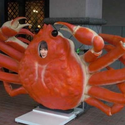 Kgm1412's profile picture. 与田リス久保リス可愛い+の
サブです