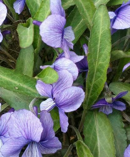 jongrye74's profile picture. 오늘도  무사히~~~                              소시민으로  살아남기.