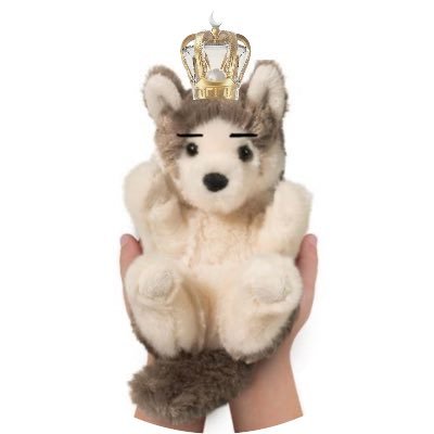 켠さんのプロフィール画像