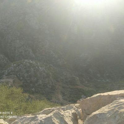 emyben13's profile picture. ‏ولي أملٌ بربِّي لا يخيبُ . 😇