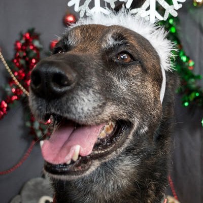 Amelidji's profile picture. 