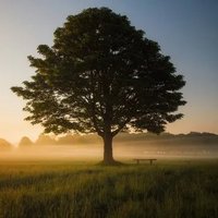 Friends of the Dymock Poets (@dymock_poets) 's Twitter Profile Photo Friends of the Dymock Poets (@dymock_poets) 's Twitter Profile Photo
