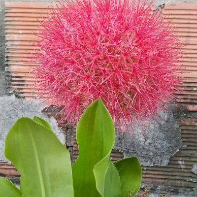 Rob20MtL's profile picture. 