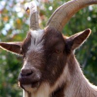 Kazimierz (@kazimie03947242) 's Twitter Profile Photo