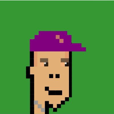 A cool digital artist and nft creator if you want get nfts related with crypto punk nft and flowers visit my nft visit my