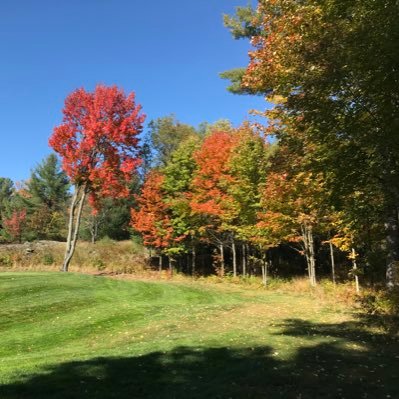 land_n_sky's profile picture. Beautiful Earth