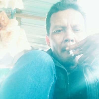 brawujaya's profile picture. Wawasan