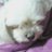 61830201's profile image
