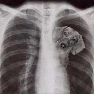 Rroberrrtoo's profile picture. 