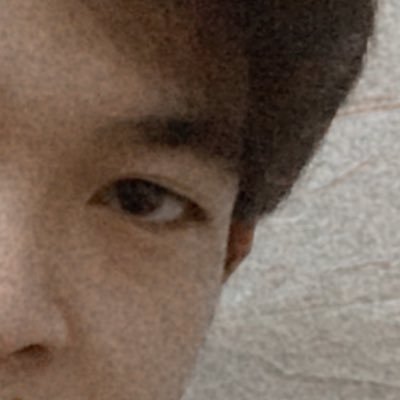 owlbequiet's profile picture. life, college, works