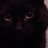 am67k's profile image