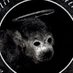 under-zealous (@y0ungcurmudgeon) Twitter profile photo under-zealous (@y0ungcurmudgeon) Twitter profile photo